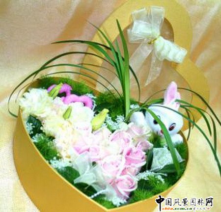 ˹(ji)ˇp(MD)