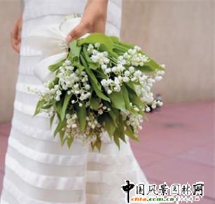 Y廨еm