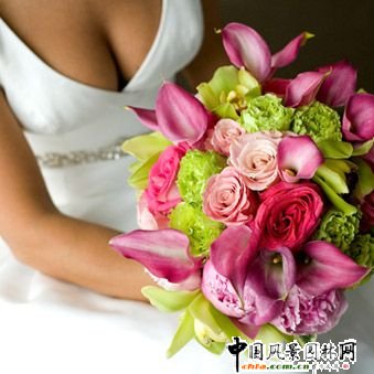 Hˇ[2009Yڅ