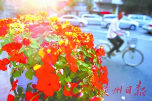 С·oڔ[Mr