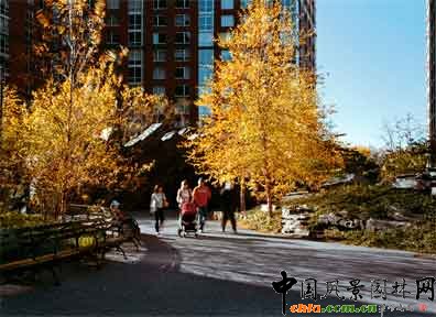 2009ASLA綜合設計類榮譽獎：淚珠公園