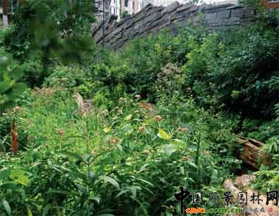 2009ASLA綜合設(shè)計(jì)類(lèi)榮譽(yù)獎(jiǎng)：淚珠公園
