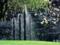 舊金山Sidney Walton公園設(shè)計(jì)