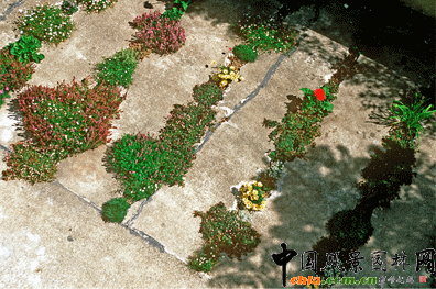 2009ASLA居住區(qū)設計類榮譽獎:裂縫花園