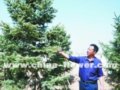 鄂爾多斯青清園林：在歷練中成長