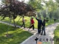 武安：春暖南園