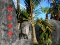 海南園?第七屆花博會之國內展園
