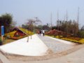 深圳園--第七屆中國（青州）花博會(huì)國內(nèi)展園