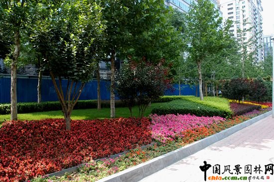 華普大廈綠地