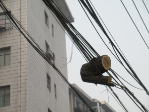 mݣ䏘䲻 ɑ·Ͽ