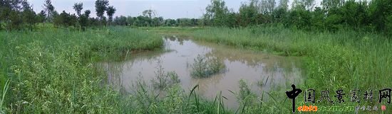 雨水收集湖