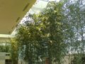 長島猶太醫(yī)院Monter癌癥中心景觀設(shè)計(圖)