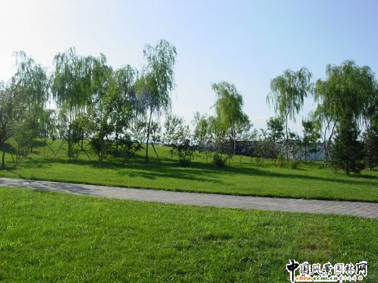 xWƥˮϹ@@־G̵ڶ(bio)