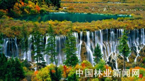 ҇رo(h)I(y)ٰl(f)չ(D)կχҼȻo(h)^(q)