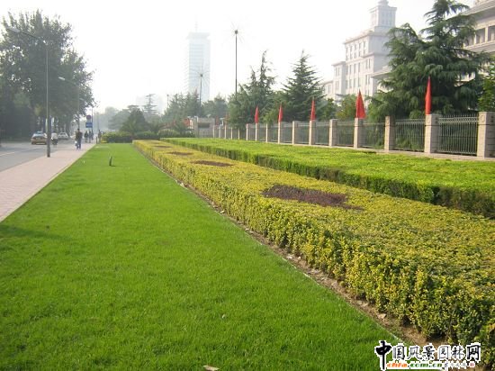 2008Ʒ֮LּLGظ