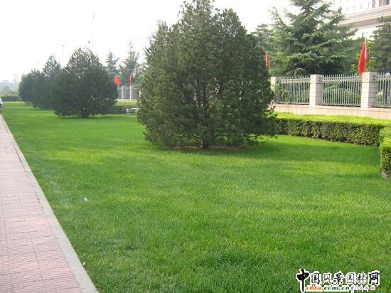 2008(hu)Ʒ֮L(zhng)ּL(zhng)Gظ