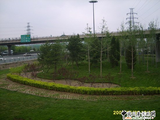 ꖅ^2007W\^s ِ· ;·ؾɂȭhξGķ^Ƭ (2)