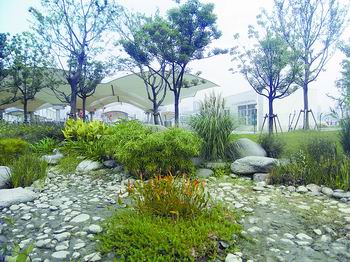 上海世博公園花境賞析(組圖)