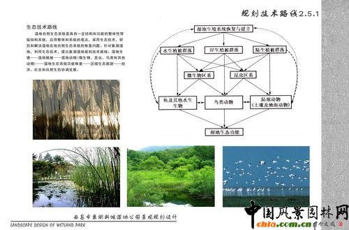 濕地公園