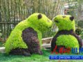訪成都活水公園負責人:智慧點亮城市之光