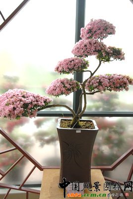 ڰˌöNչ@Ʒ