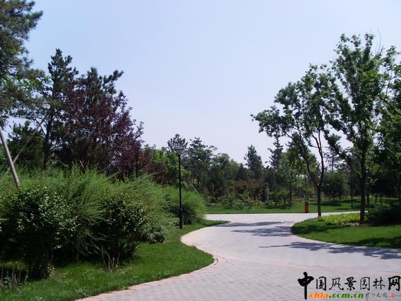2009걱@փOӋ--I@
