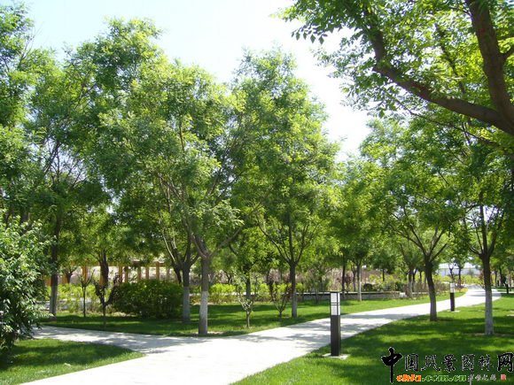 2009걱@փOӋ--I@