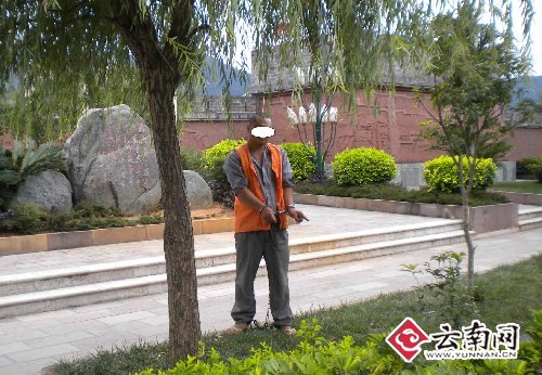 云南：偷挖綠化樹賣苗圃園 景東兩男子被刑拘