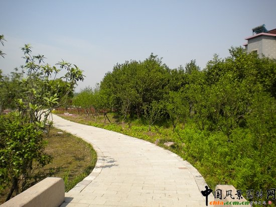 (@ǹ·-춼)^G02(bio)