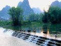 “全國綠化獎章”獲得者李慶?。盒难@林