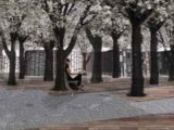 ASLA 2010年度學生類獲獎作品精品展示二