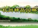 www.chla.comc.n