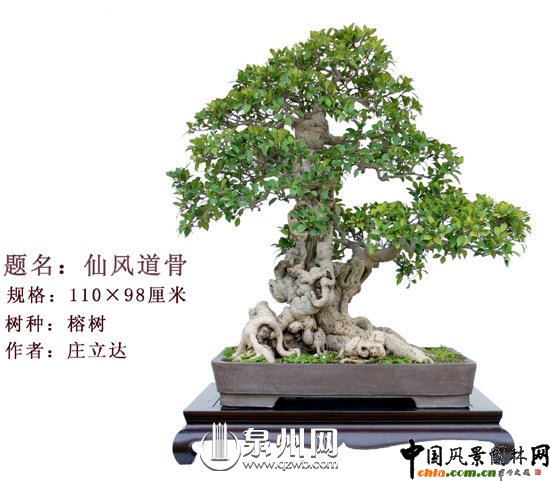 Ȫ݃辰@Ї辰(chung)ِ(jing)