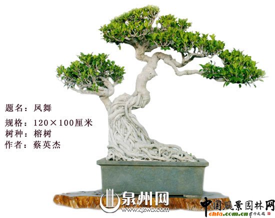 Ȫ݃辰@Ї辰(chung)ِ(jing)