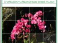 《常見園林植物識別圖鑒》新書上市