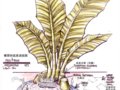 幾大主題公園手繪創意設計(多圖)