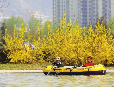 蘭州 鮮花 花海