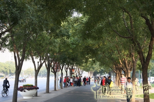 張新宇 景觀設計 長安街 北京園博會設計師廣場 中國風景園林網