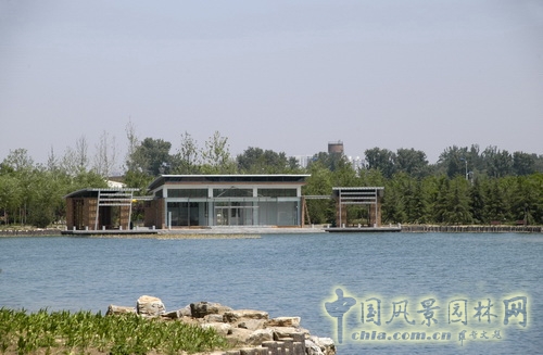 張新宇 大興新城濱河森林公園  規劃設計 設計師廣場 中國風景園林網