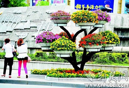 宜昌市 立體式 綠化盆景 市民贊賞 中國風景園林網 