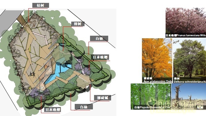 鏡園 張建林 雨水收集系統 園林植物 設計 園林 景觀