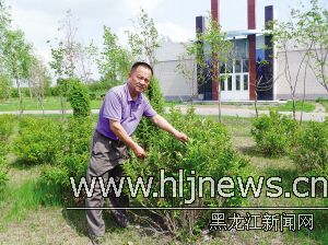 哈爾濱 園丁 綠化