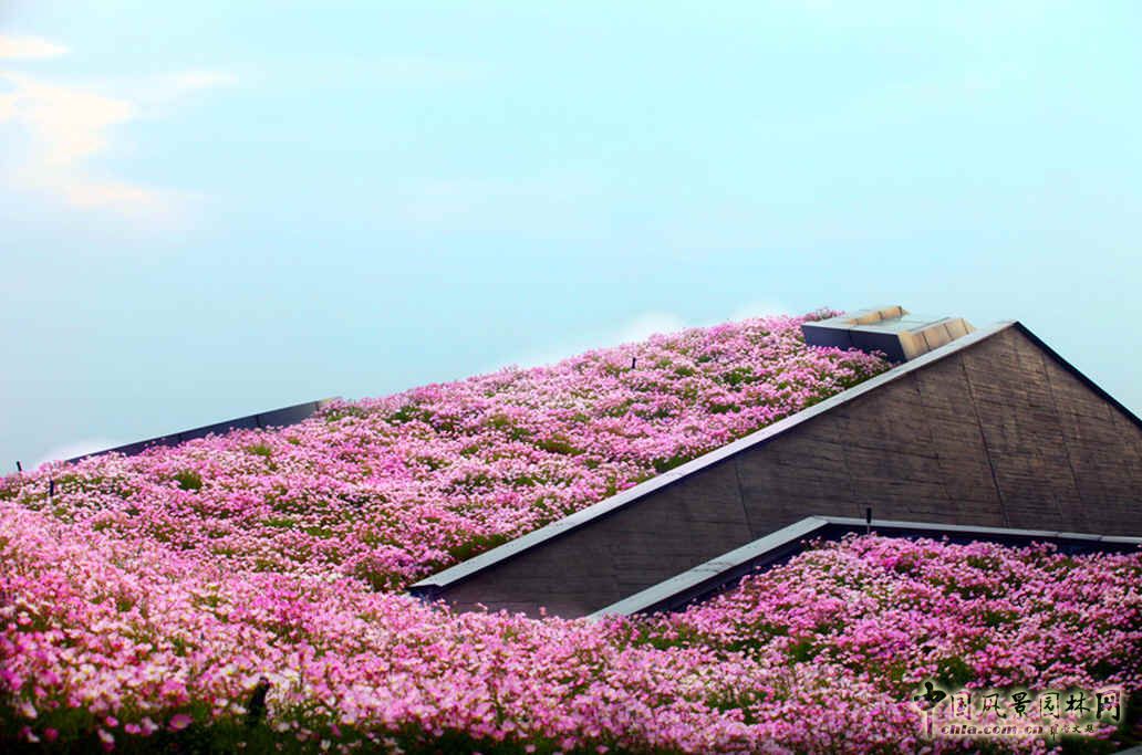 空中花海 國內(nèi) 最大 屋頂花園 巨人網(wǎng)絡(luò)總部 中國風(fēng)景園林網(wǎng)