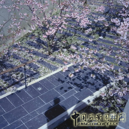 基金會景觀