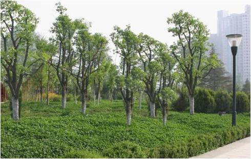 豐慶公園