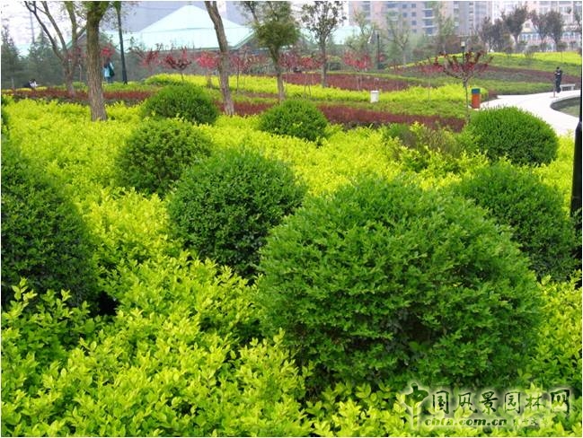 豐慶公園