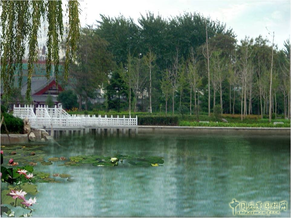 豐慶公園建設