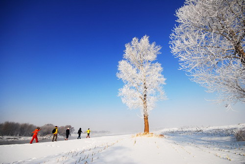 哈爾濱國際冰雪節 峨眉山冰雪溫泉節