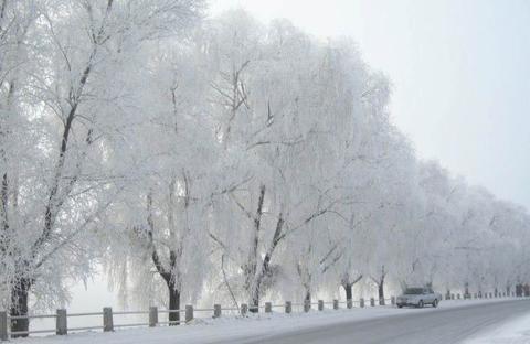 哈爾濱國際冰雪節 峨眉山冰雪溫泉節
