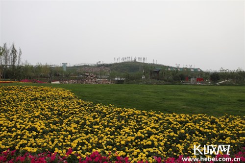 石家莊 綠化 景觀(guān)